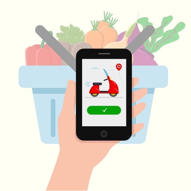 Grocery Delivery: Is It Worth the Cost? A Data-Driven Analysis