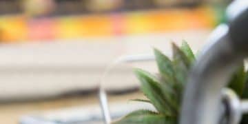 Save Big: Your Guide to 25% Off Groceries at Discount Stores - Cover Image