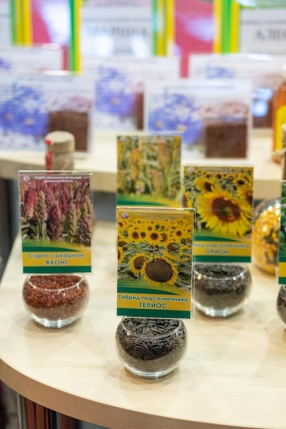 A detailed close-up of various seed packets organized neatly in a gardening box. Each packet shows vibrant images of the vegetables or herbs they contain, such as tomatoes, lettuce, and basil.