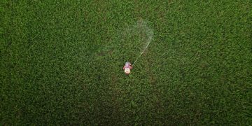 Water Conservation: Practical Tips to Save Water and Energy - Cover Image