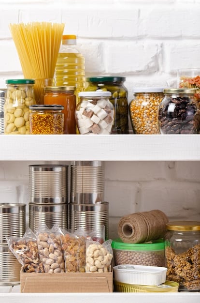 A clean, organized pantry shelf stocked with clearly labeled bulk food items such as large jars of dried beans, an airtight container of oats, and various whole grains, reflecting smart, cost-effective shopping.