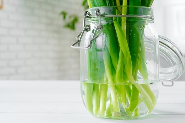 Don’t Throw Away Money: Regrow Vegetables from Grocery Scraps