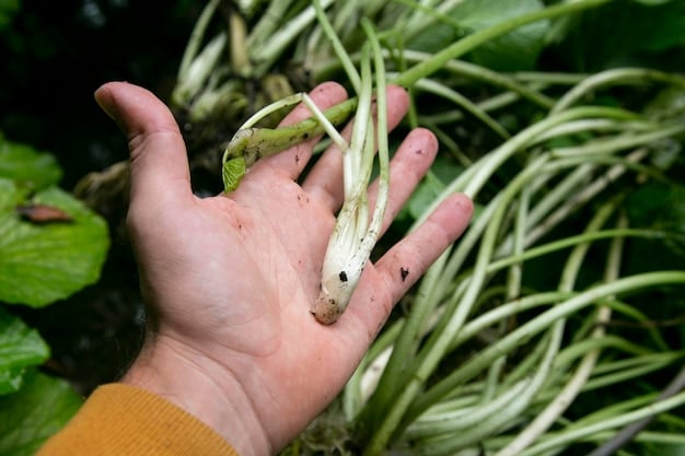A person's hands carefully transplanting a small celery stalk with newly formed roots from a glass of water into a pot filled with potting soil. The focus is on the delicate process of planting, highlighting the transition from water to soil in the regrowing process related to Don't Throw Away Money: How to Regrow Vegetables from Grocery Store Scraps.