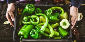 Grocery Savings Strategies Article - grocery_sa_billsvibescom_14_1758236897_f3b66d30_grocery_bu.html - Cover Image